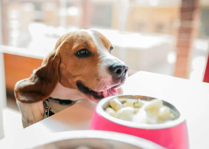 فندق Ibis Medical Park 3*