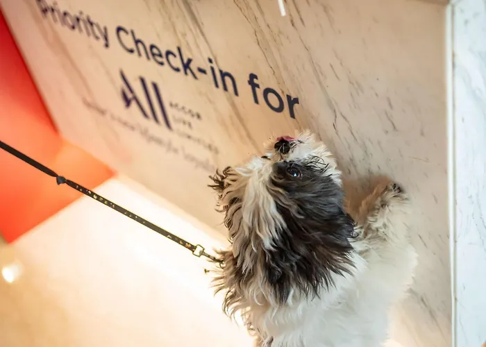 Ibis Medical Park 3*