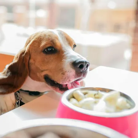 Hotell Ibis Medical Park 3*