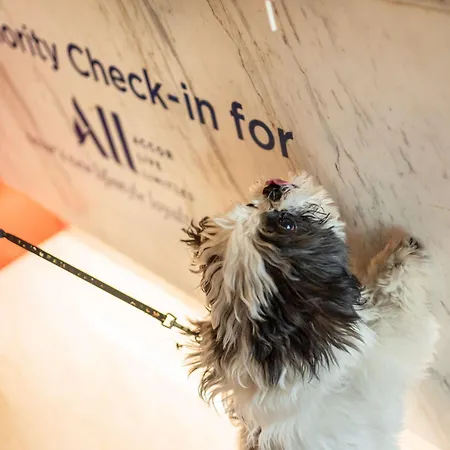 Ibis Medical Park 3*